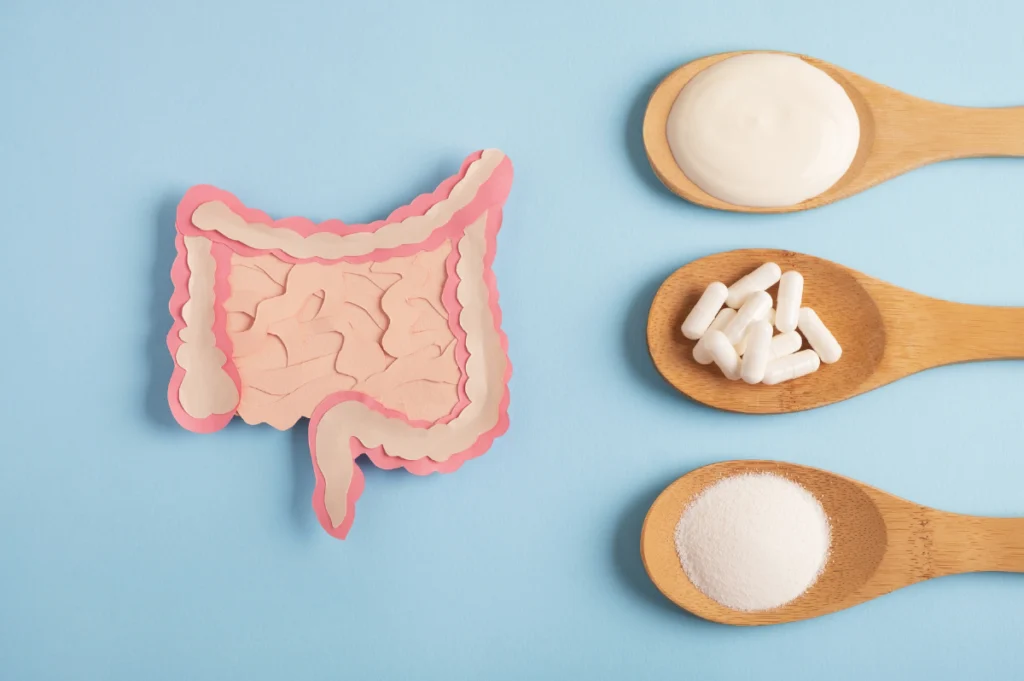 img-gut-health