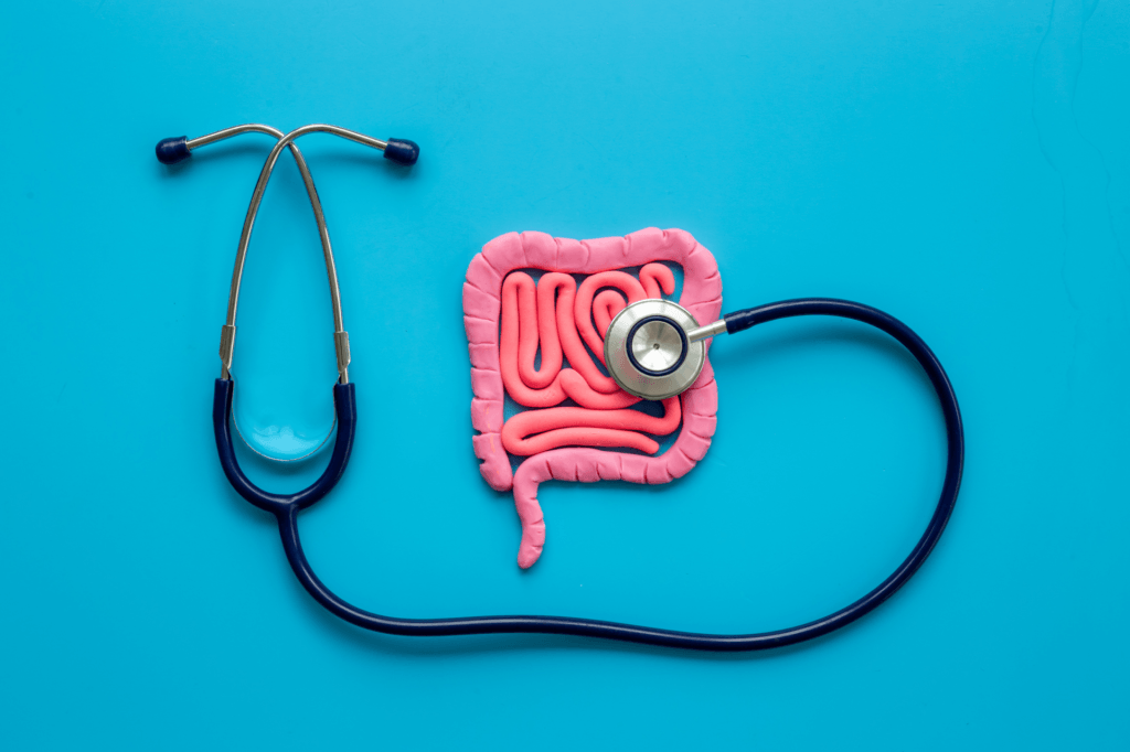 The Role of Gut Health in Wellness